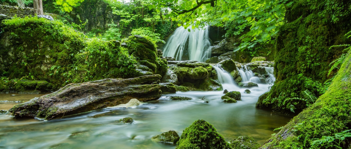 黄雨婷老家门口巨石成打卡点