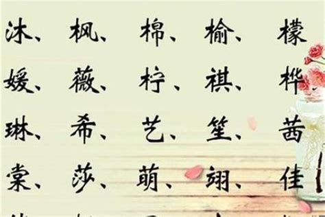 服装名字取什么好听