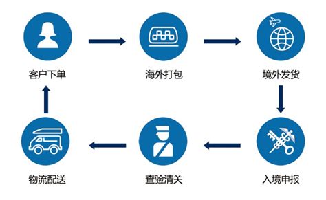 跨境电商运营项目简历描述